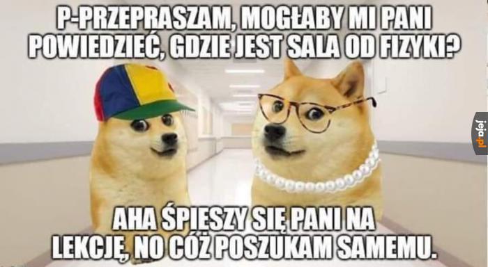 W nowej szkole