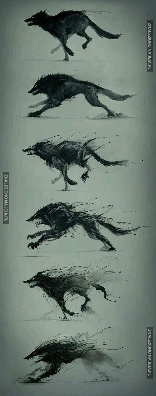 Transformacja mrocznego wilka