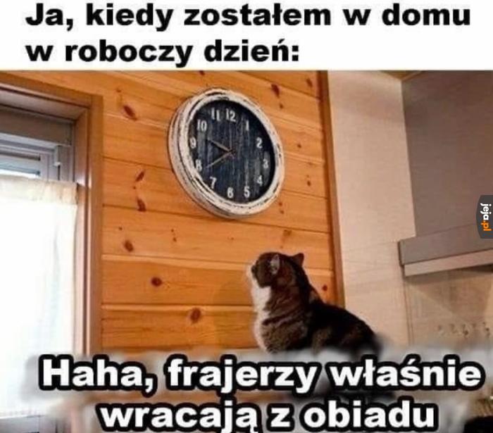 Są tu ludzie pracy?