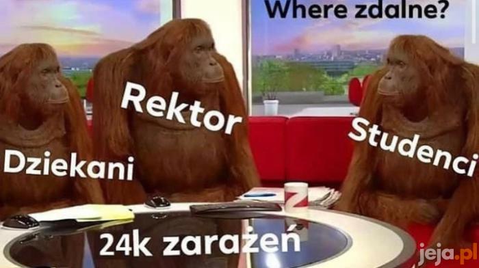 No gdzie?