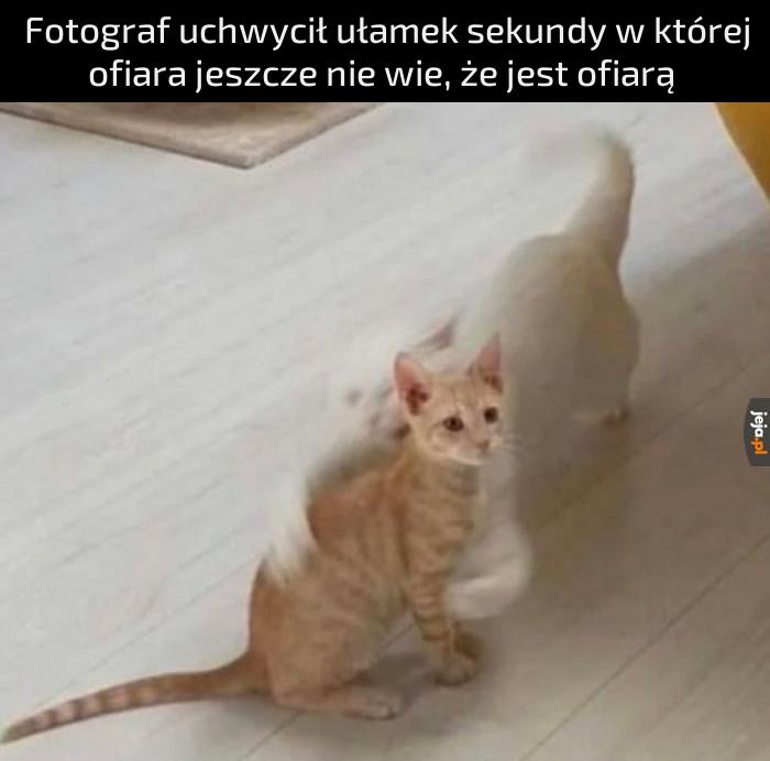 On jeszcze nie wie