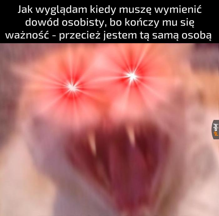 Po co da data?