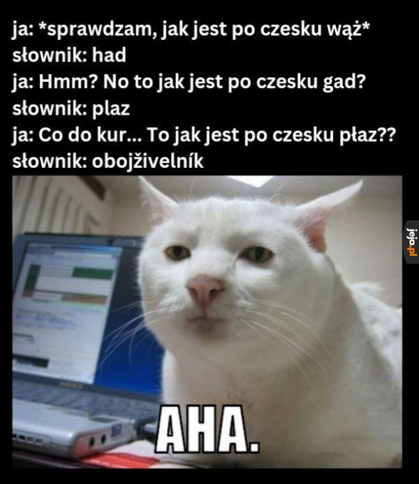 Logiczne