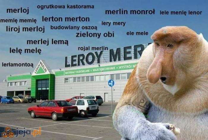 Lerła merlę