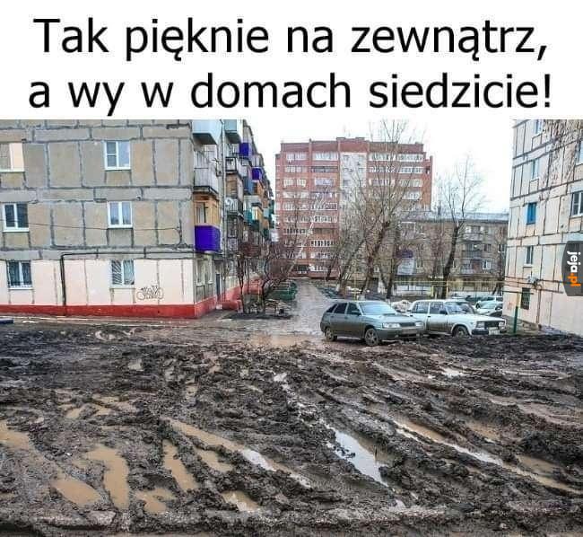 Gałgany!