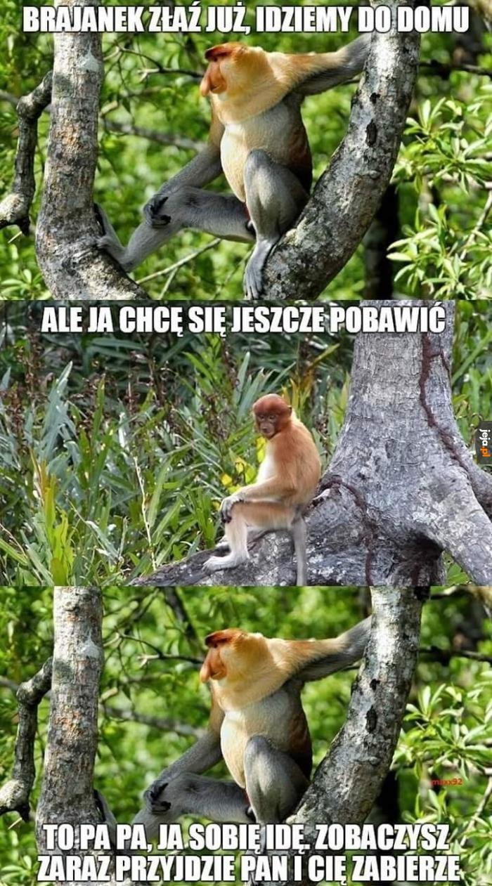 To zawsze działa