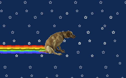 Nyan dog!