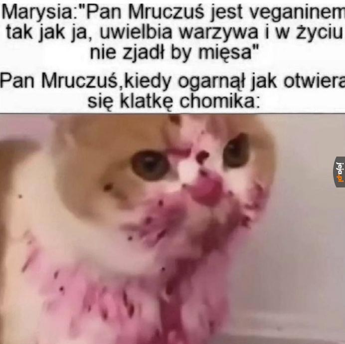 Jednak nie