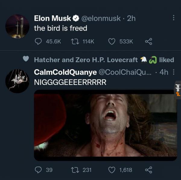 Masz czego chciałeś Elon