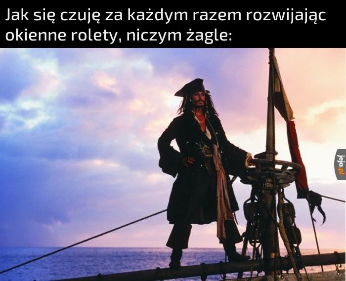 Świetny ze mnie pirat