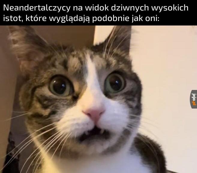 Ej Heniek, oni jakoś dziwnie wyglądają