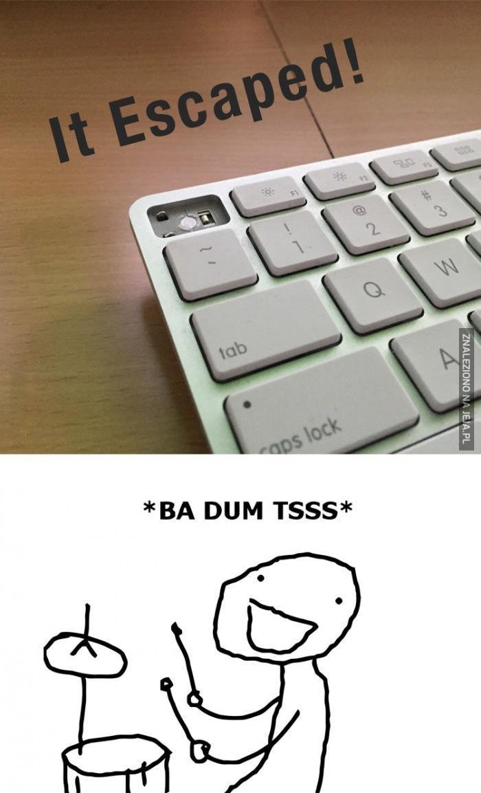 O nie... i co teraz?