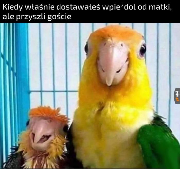 Uśmiechaj się no
