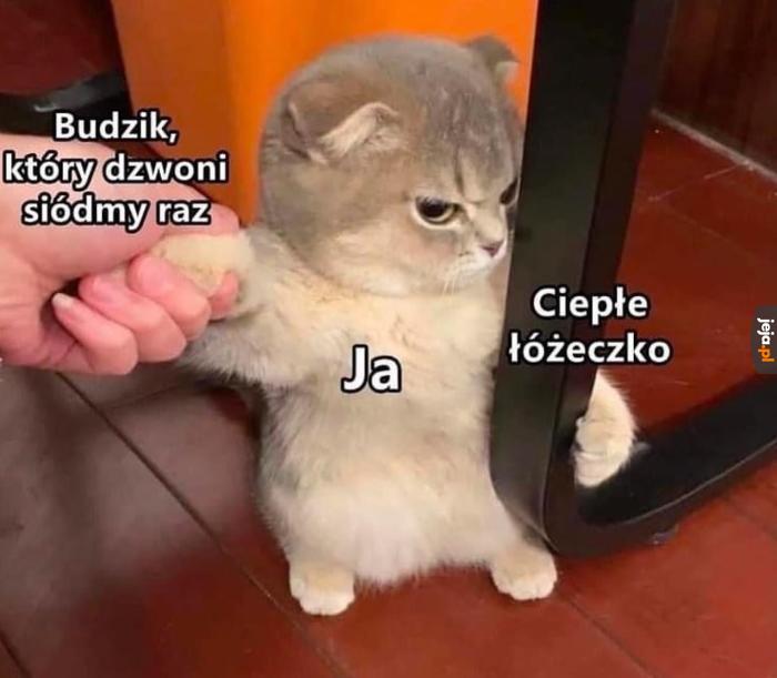 Nie chcem