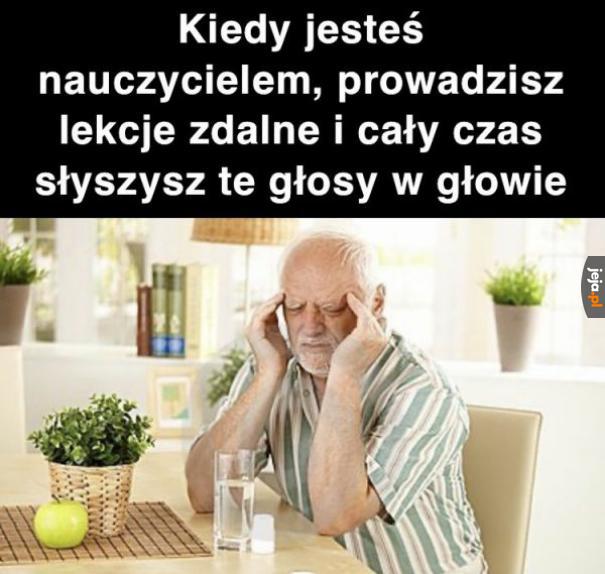 Wszędzie te głosy