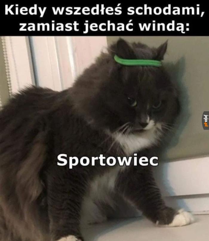 Ruch to zdrowie
