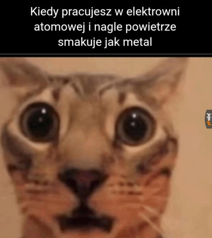 O kurde