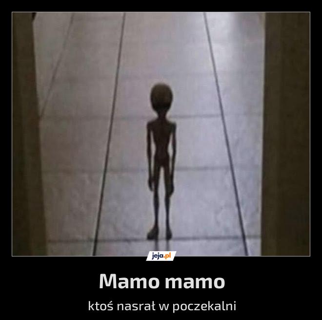 Mamo mamo