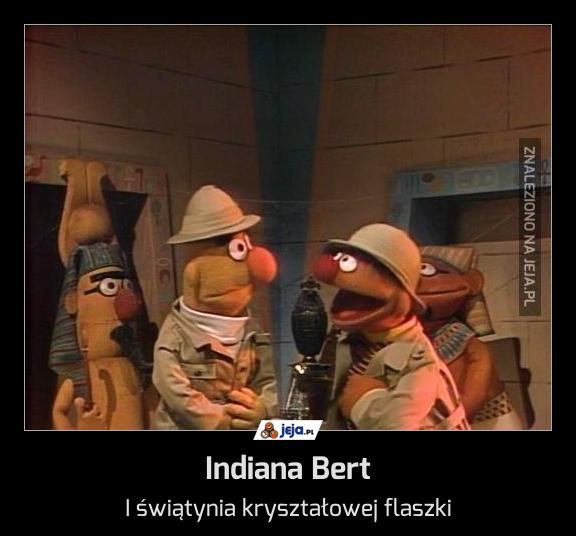Indiana Bert