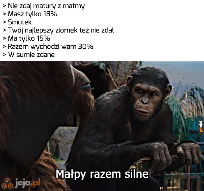 A Wam jak poszła maturka?