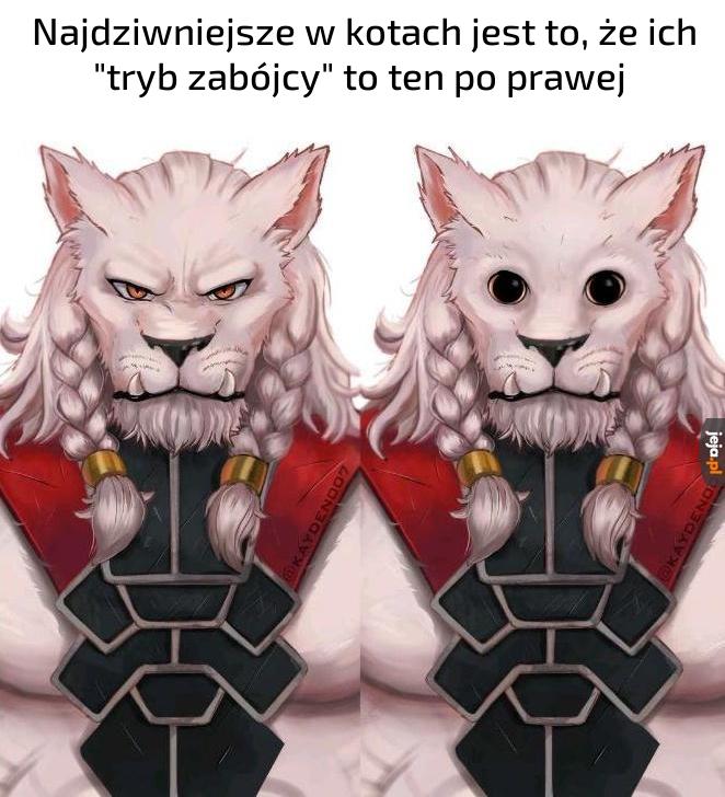 Ostatnie co widzisz przed śmiercią