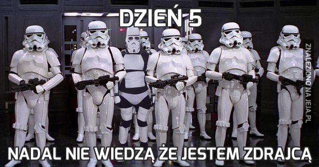 Dzień 5