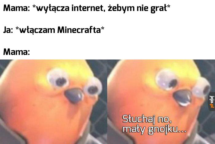 Minecraft górą!