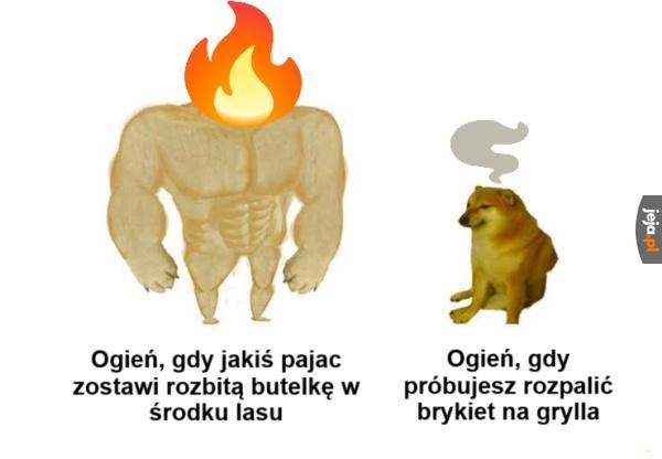 Grillowe rel