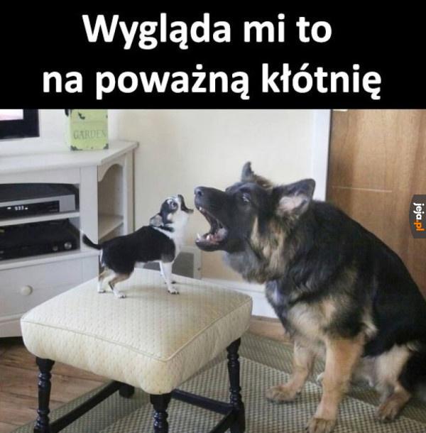 Ciekawe, o co poszło