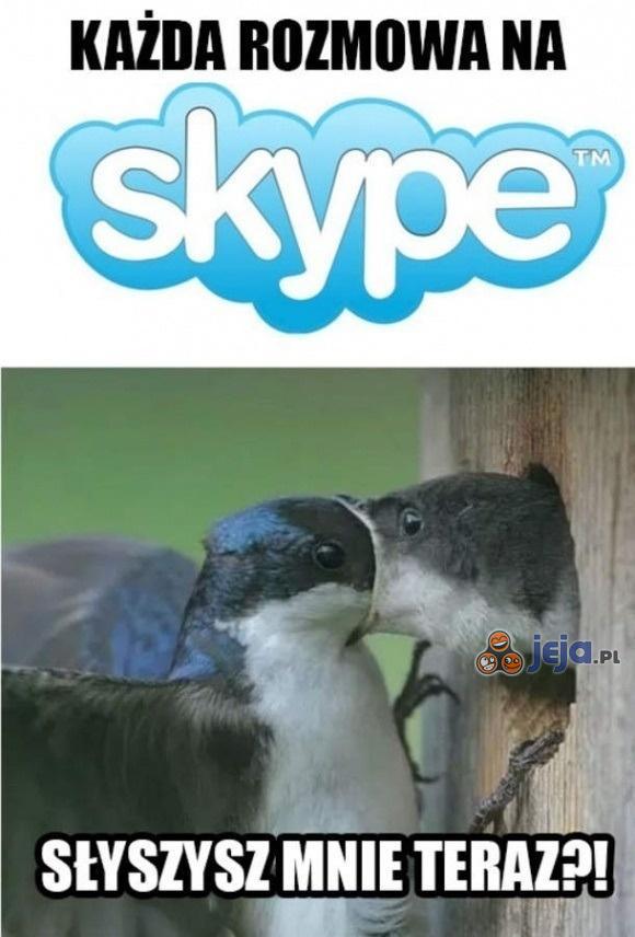 Typowa rozmowa na Skype