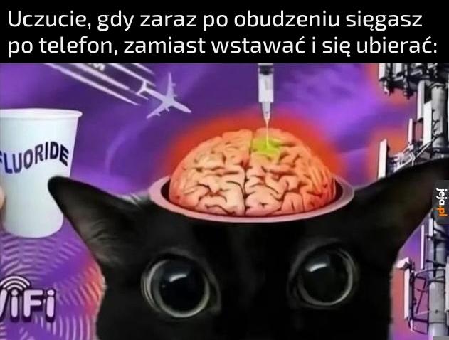 Kurde faja, trzeba przestać