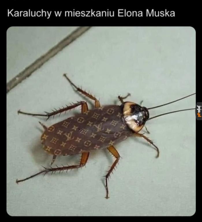 Się powodzi