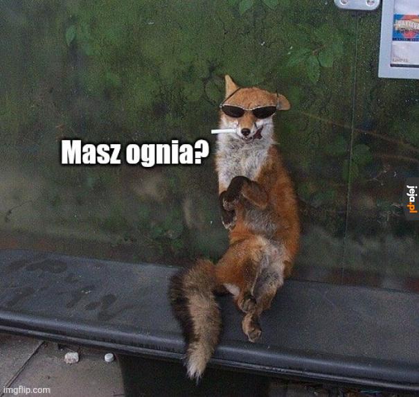 Nigdy nie jedźcie do Łodzi