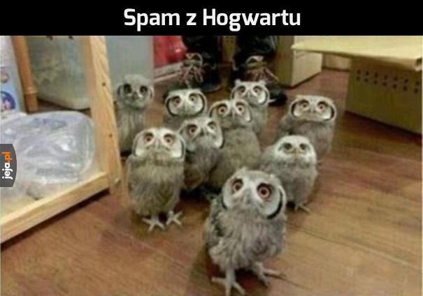 Sowi spam