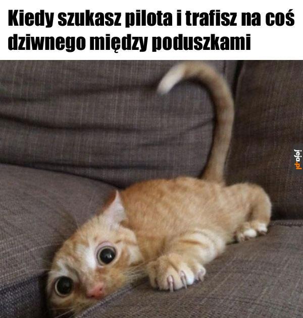 W dodatku to coś się rusza