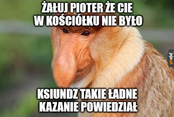 Ładnie mówił