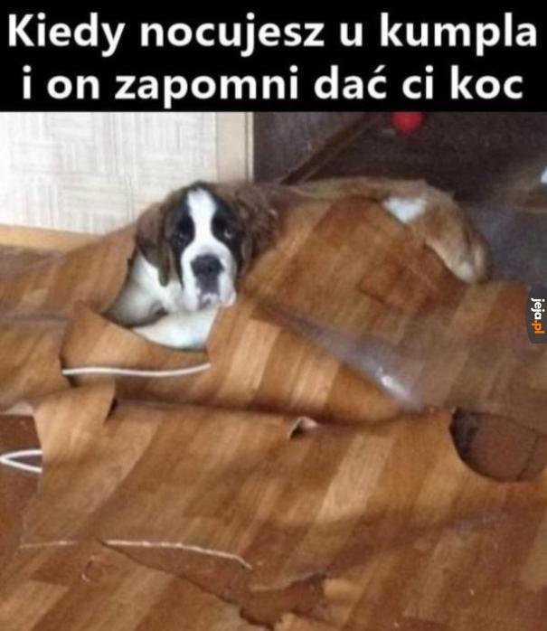 Trzeba sobie radzić