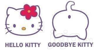 Goodbye Kitty!