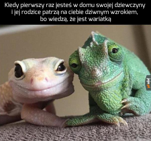 Przemyślałeś to dobrze?