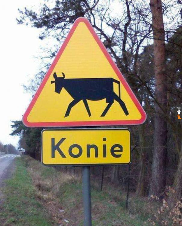 To w końcu jak?