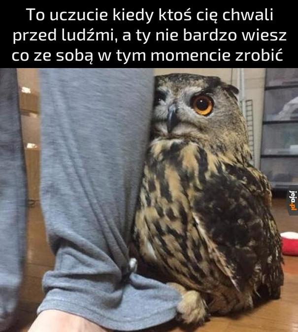 A do tego jaki skromny