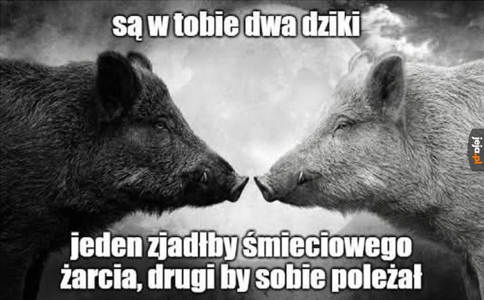 Dzielą się mocą po równo