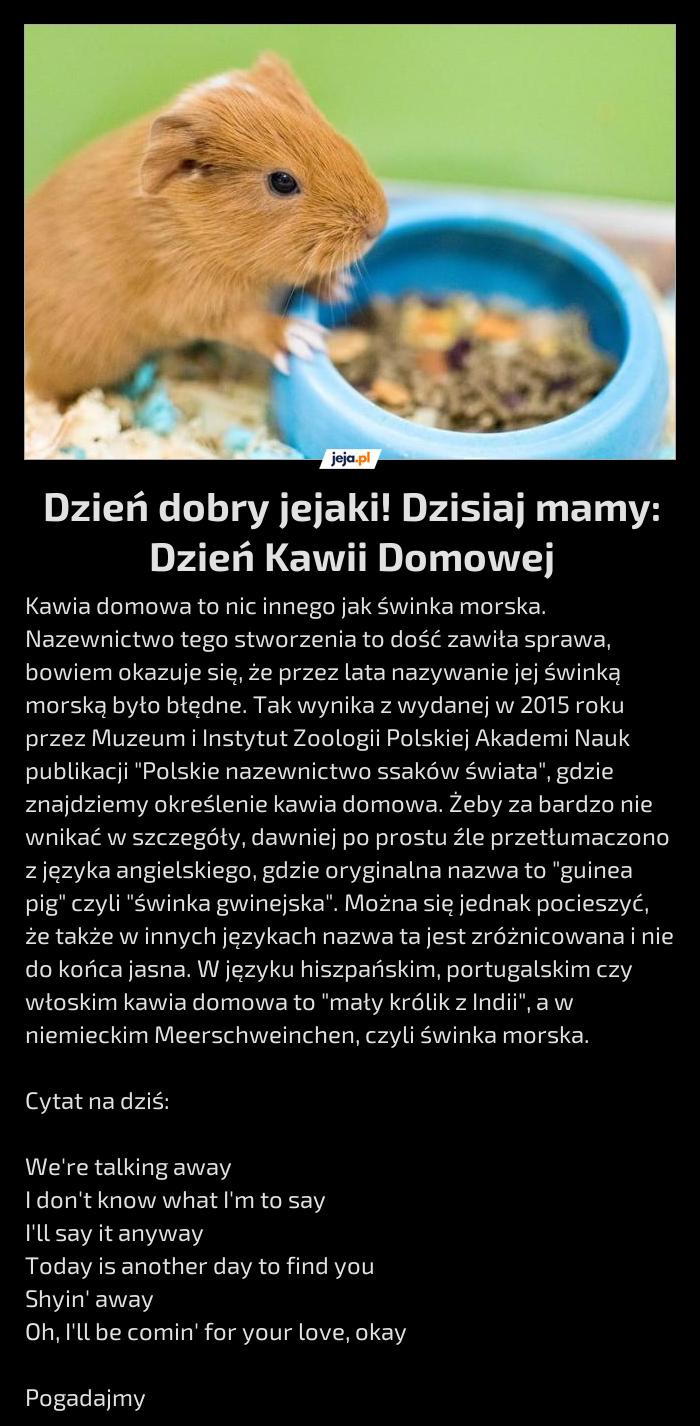 Dzień dobry jejaki! Dzisiaj mamy: Dzień Kawii Domowej