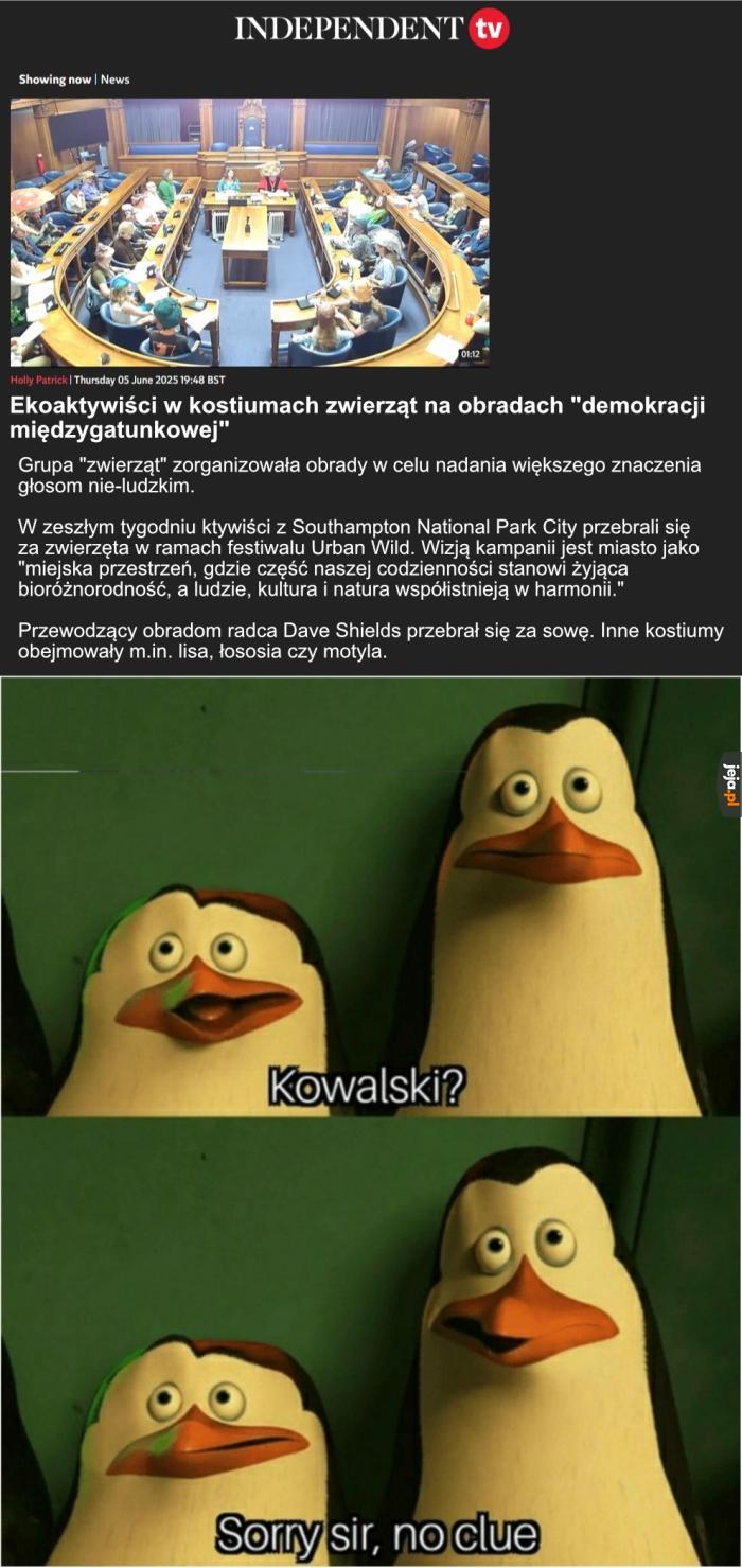 Niektóre newsy trudno skomentować