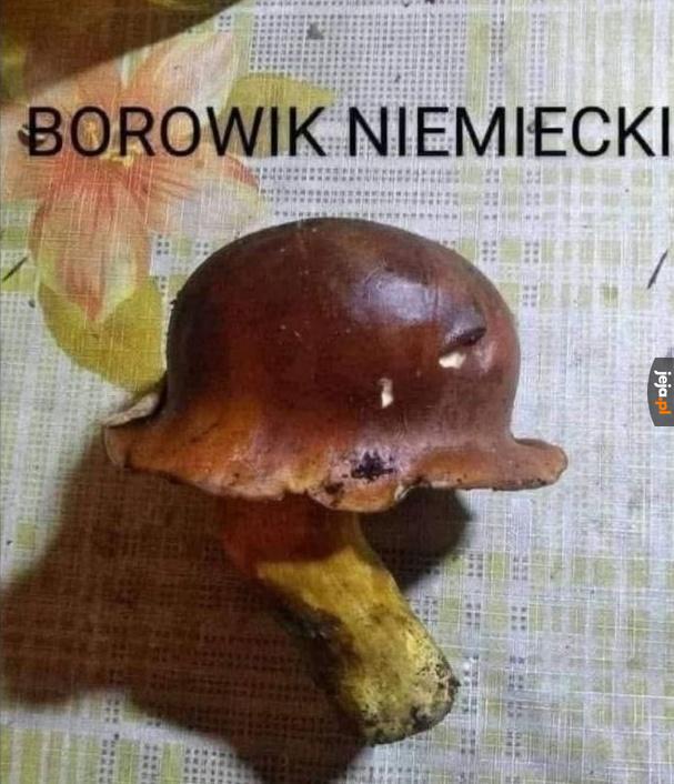 Kapelusz czy hełm?