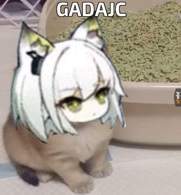 Gadajc