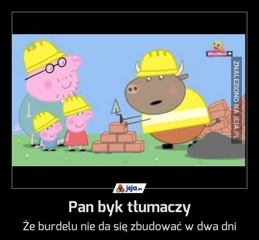 Pan byk tłumaczy