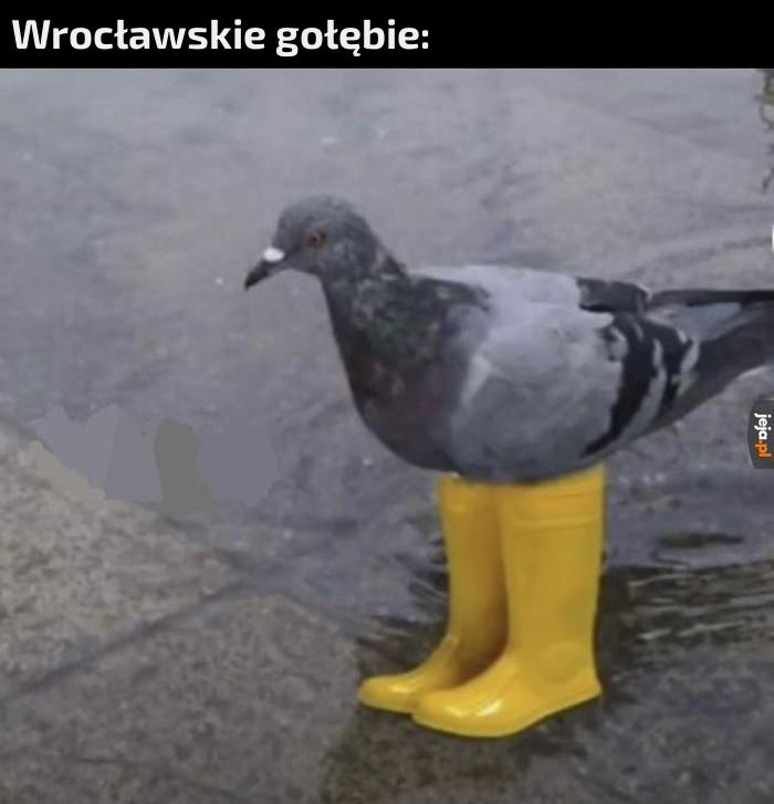 Ochrona przed deszczem