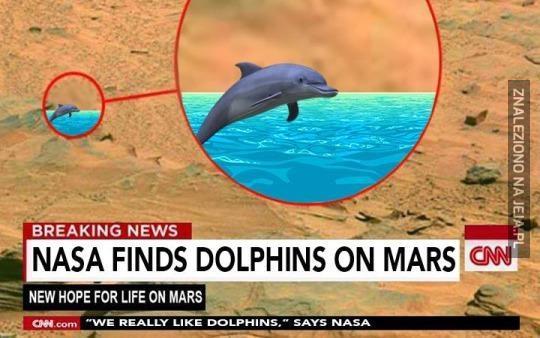 NASA znalala delfiny na Marsie!