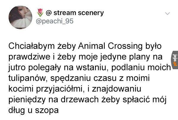 Byłoby miło